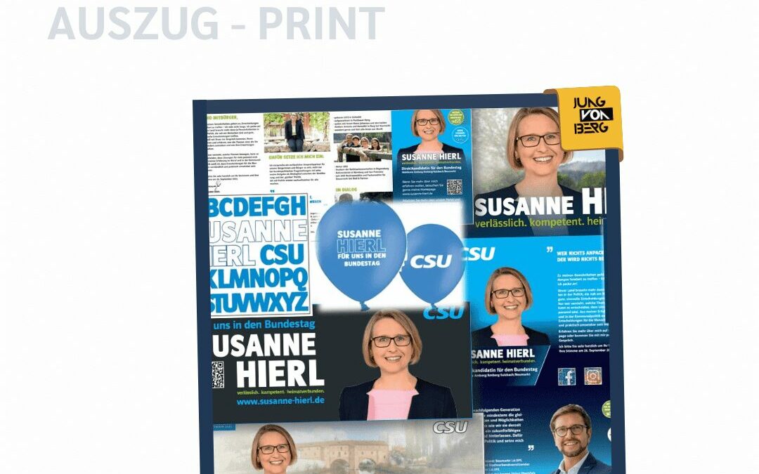 KONZEPT WAHLKAMPAGNE